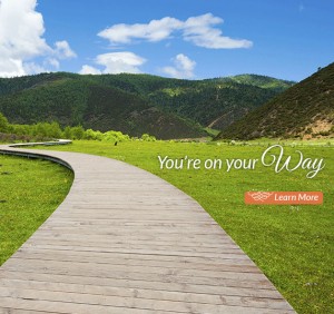 Wooden path leading through green field